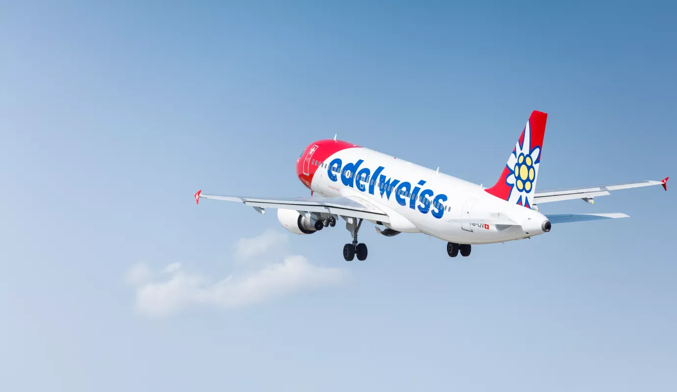 Edelweiss A320. Foto HO.