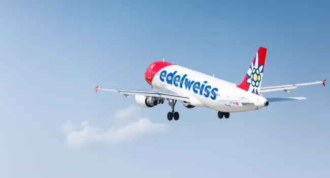 Edelweiss A320. Foto HO.